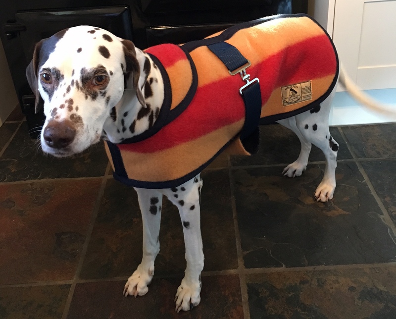 Coats for Medium & Large Dogs